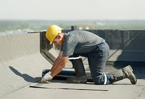 Best Insulation Removal  in Farngton Hills, MI