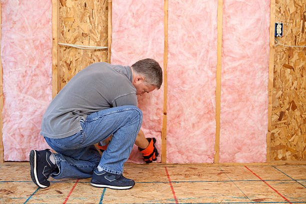 Best Soundproof Insulation Installation  in Farngton Hills, MI